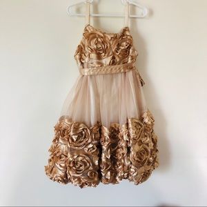 Bonnie Jean Bonaz Rosette Mesh Bubble Dress, Sz 8